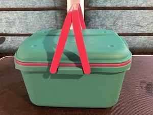 Eagle Craftstor Organizing Tote Vintage 1990s Sewing Craft Storage Box
