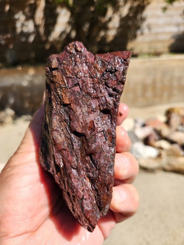 Dinosaur Bone Faced Rough Rock Specimen 4"X2.5"X2" 1.7 Pounds See Video - Picture 9 of 10