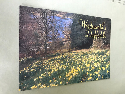Wordsworth s Narzissen.  The Lake District.  Cumbria.  Farbpostkarte 