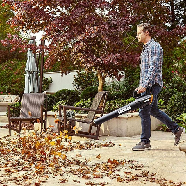 WORX WG547 20V (2.0Ah) Power Share 