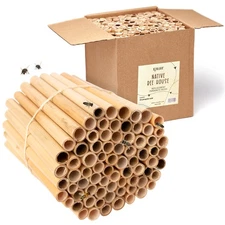 125 Phragmite Reed Mason Bee Tubes | Refill for Bee House, Hotel Nest Box, So...