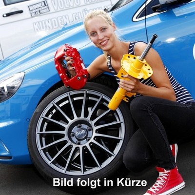 Haldex-Kupplung für Volvo EX40,S60,S90,V60,V90,XC60,XC90 AWD (2021-) 36011768  .