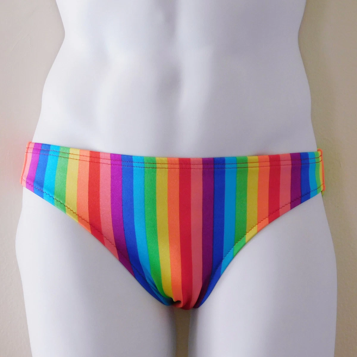 MENS Swim Brief Swimsuit in Regular or Low Rise in Rainbow Stripe