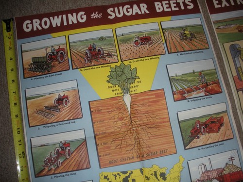 Rare Vintage 1950's? Extracting STORY Beet Sugar food Factory COMPLETE SET OF 4 - Picture 6 of 21