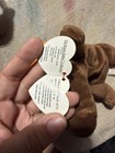 TY Beanie Baby Chocolate the Moose — photo 3