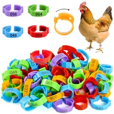 100pcs Chicken Leg Bands, 14-22mm Adjustable Poultry Tags, Durable Multi-Colo...
