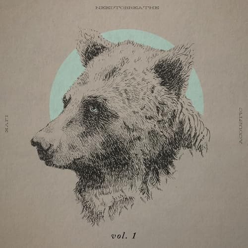 Needtobreathe Acoustic Live Vol. 1 Double LP Vinyl NEW - Image 2