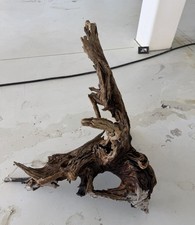 Large Driftwood 30  X 34  Intricate Design, Beautiful Piece