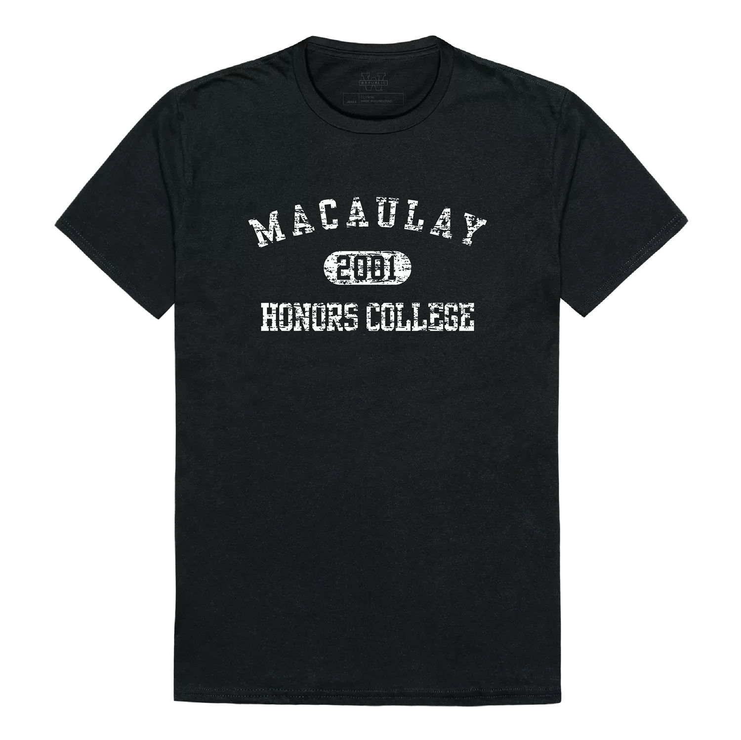Macaulay Honors College NCAA Distressed Arch Vintage Tee Shirt