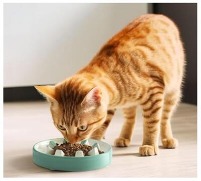 Ciotola Antingozzamento Per Cani - In Acciaio Inox, Base Antiscivolo, Per Alimentazione Lenta - Foto 10