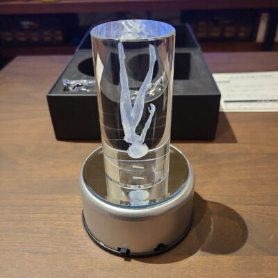 エヴァンゲリオン メモリアルクリスタル 綾波レイ EVA STORE