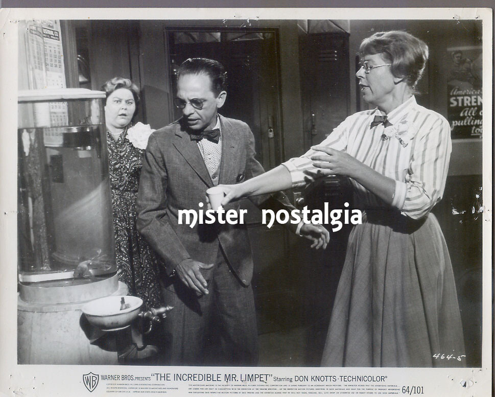 Vintage Photo 1964 Don Knotts The Incredible Mr Limpet
