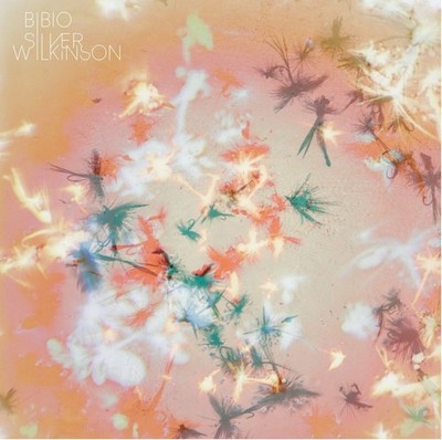 Bibio Silver Wilkinson Music CDs New