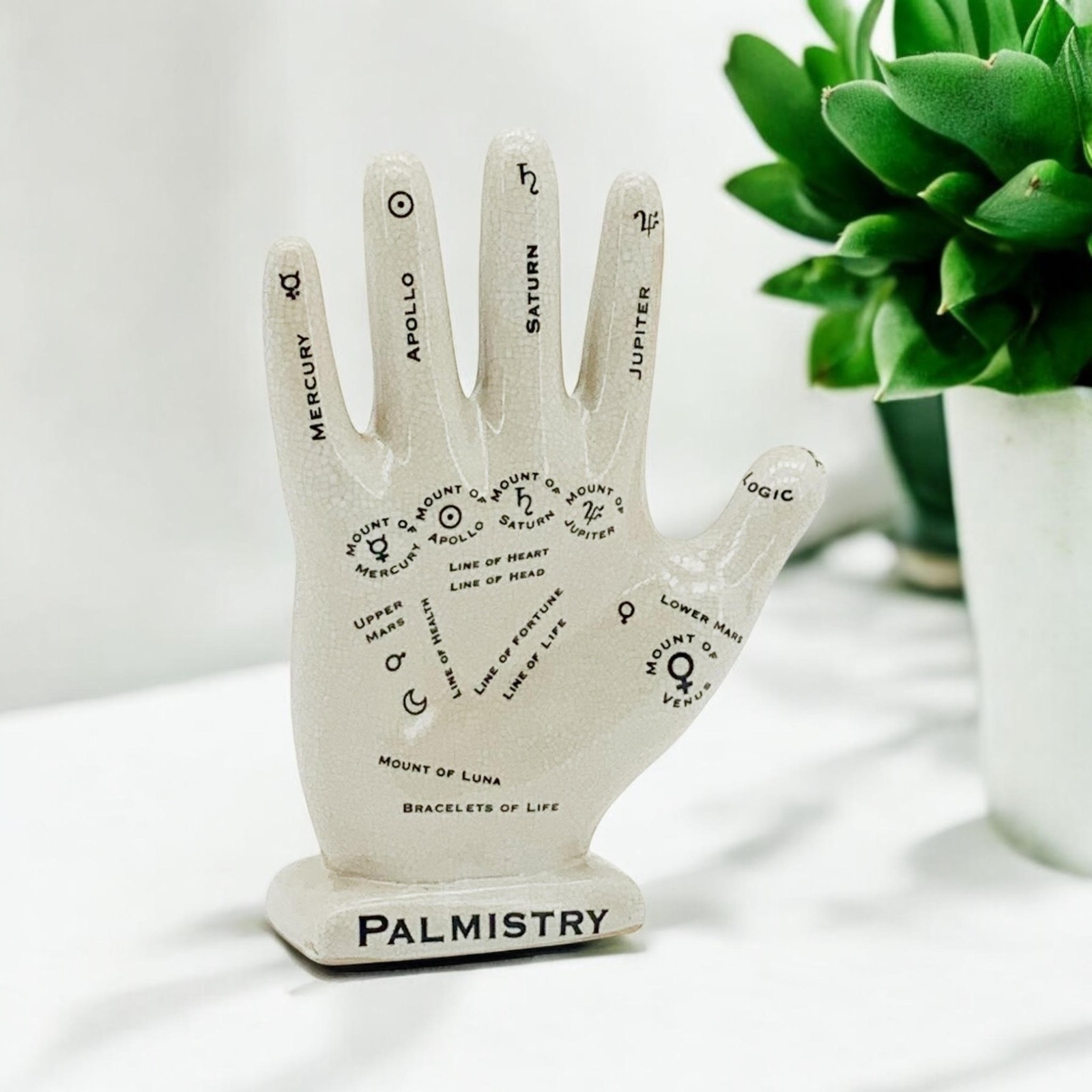 Large 12"" Palmistry Hand Ceramic Crackle Phrenology Cream Home Décor