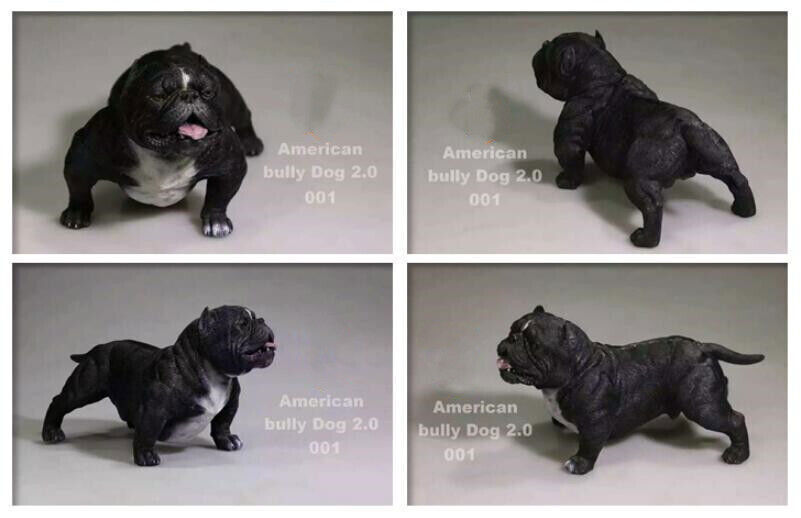 American Bully Dog 2.0 002 (Brown) 1/6 Scale Figure