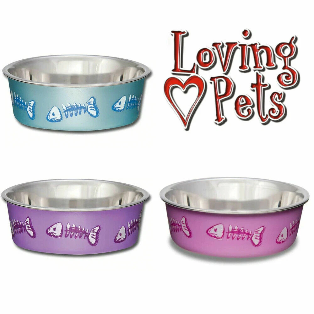 Bella pet bowls cheap