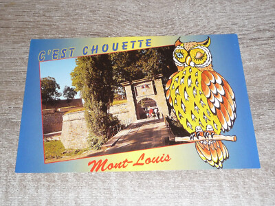 Postkarte Ansichtskarte Eule C'est Chouette Eingangstor aus Mont-Louis  (AK47)