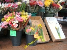 Photo 6x4 Daffodils 3 for u00c2u00a32.00  Hyde/SJ9494 Flowers for sale c2007