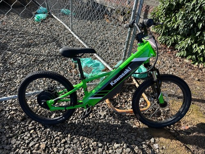 #ad #ad 2024 KAWASAKI Elektrode® 20 Lime Green $1299.00