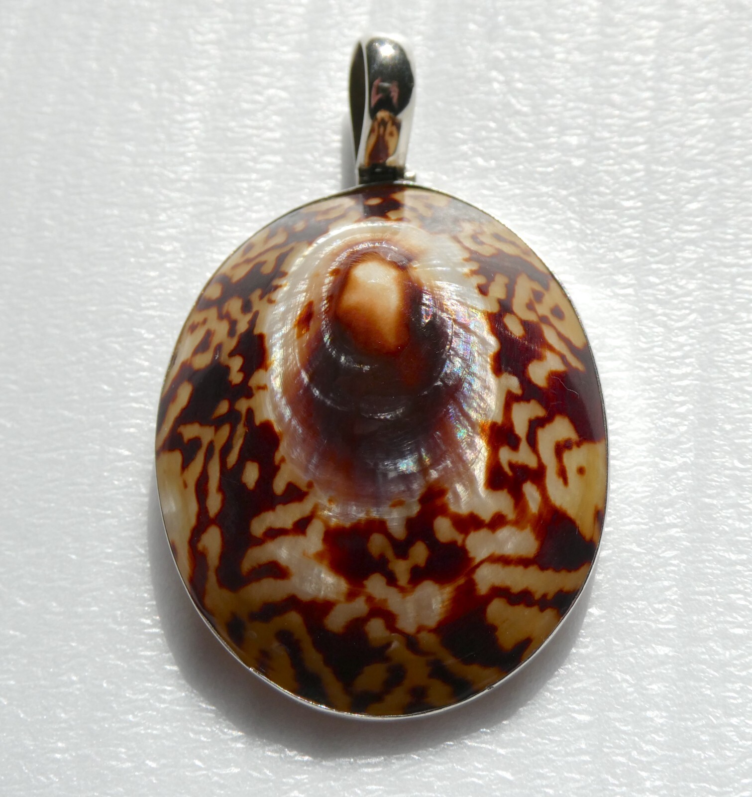Sterling Silver Limpet Shell Statement Pendant 92… - image 2