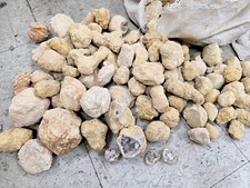 Break Your Own Geodes Unbroken Quartz Crystal Geode with Sparkly Crystals Inside