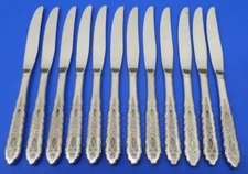 12 - Oneida Deluxe PROPOSAL Burnished Handle Stainless Flatware 9" DINNER KNIVES