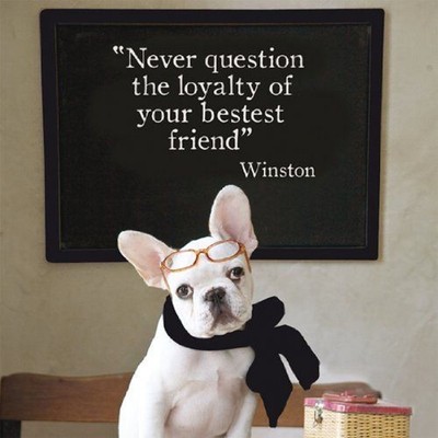 bulldog birthday party