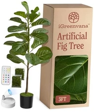 Artificial Fiddle Leaf Fig Tree (36 Inch) Tall - with Remote LED Spotlight  3ft