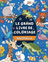 Le Grand Livre De Coloriage | Pour Enfants 4 Ans Et + | Fairywren Publishing