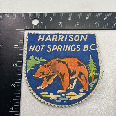 Vtg c 1950s Printed-On-Felt Brown Bear HARRISON HOT SPRINGS BC Canada Patch 97U9