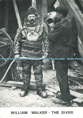 D249667 William Walker The Diver Judges Limited Litone 1985