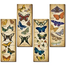 4 Pack Vintage Butterfly Art Sign Rustic Wooden Hanging Wall Decors Papillons 