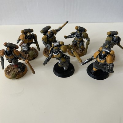 Space Marines X7 Primaris Intercessors Silver Templars (1 Arm beschädigt siehe Foto)