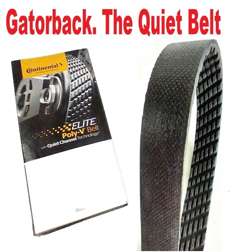 NUEVO Serpentine Poly-V The Quiet Belt CONTINENTAL ELITE GATORBACK 4061073 - Imagen 3 de 3