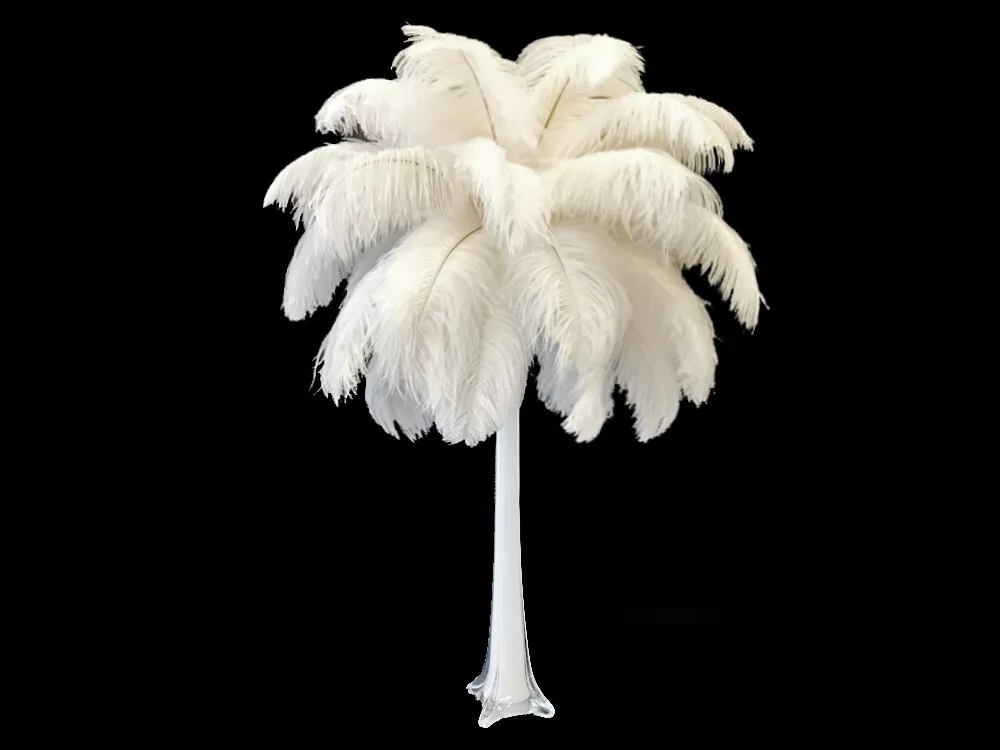 Ostrich drab outlet feathers wholesale