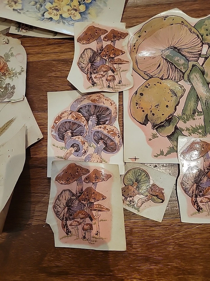 Lote de 100+ calcomanías de flores de hongos transferencia años 70 tamaños surtidos  Foto 4 de 4