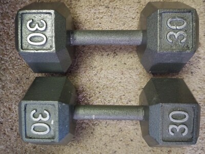 Pair 30 lb Cast Iron