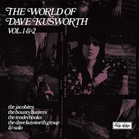 Dave Kusworth - World Of - Vinyl Record Vl - E3447Z
