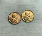 1956 P and D Lincoln Wheat Cent Set  Unc/BU Free Shipping A385