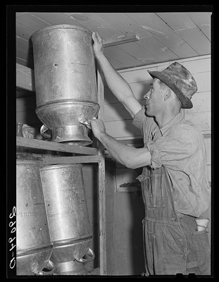 Osage Farms Missouri Hillview Cooperative Dairy Cows 1939 Milk Can Farm Worker