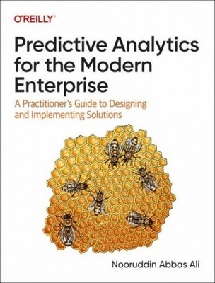 Predictive Analytics for the Modern Enterprise|Nooruddin Abbas Ali|Englisch