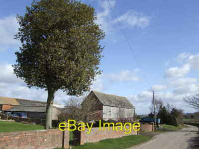 Foto 6x4 Cobhall Farm Cobhall Common Der lutscherförmige Baum ist eine Stechpalme c2007