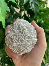 Extra Large Desert Rose Selenite, 1.5-4 Inches Desert Gypsum Rose, Pick a Size