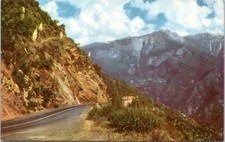 Postcard - Sequoia National Park - Union Oil See the Old West No. 140