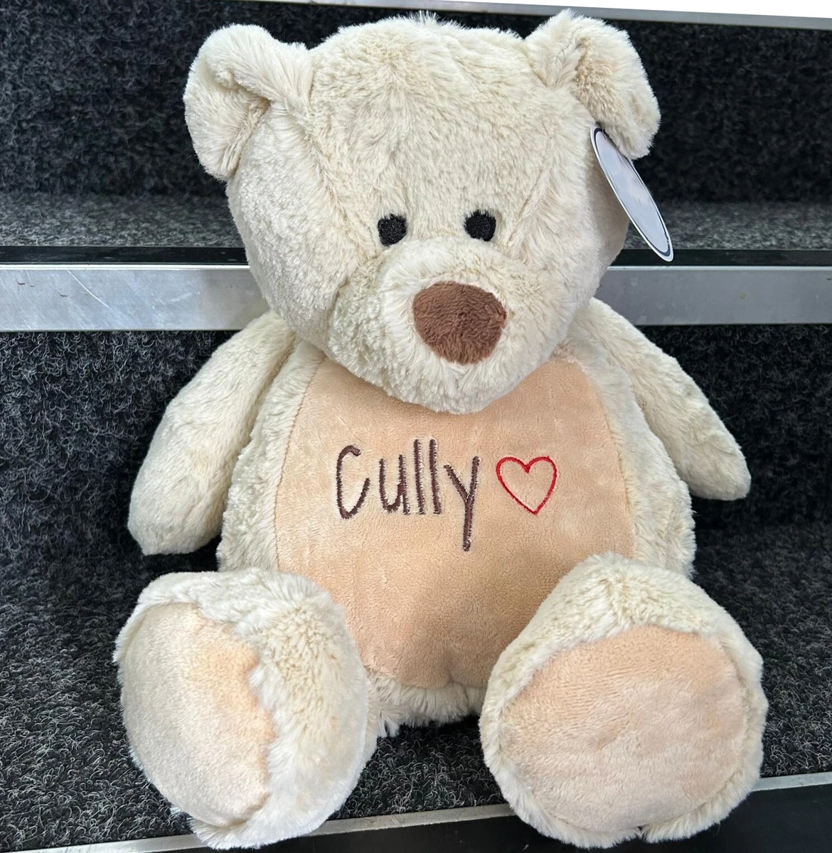 Teddy bear with name deals embroidered