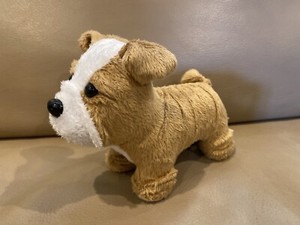 american girl bulldog