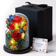 Preserved Rose with Butterfly, LED Forever Flowers in Glass Dome, Eternal Flo...