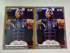 2022 Upper Deck AEW All Elite Wrestling #46 Dustin Rhodes Base & Gold Card 1L