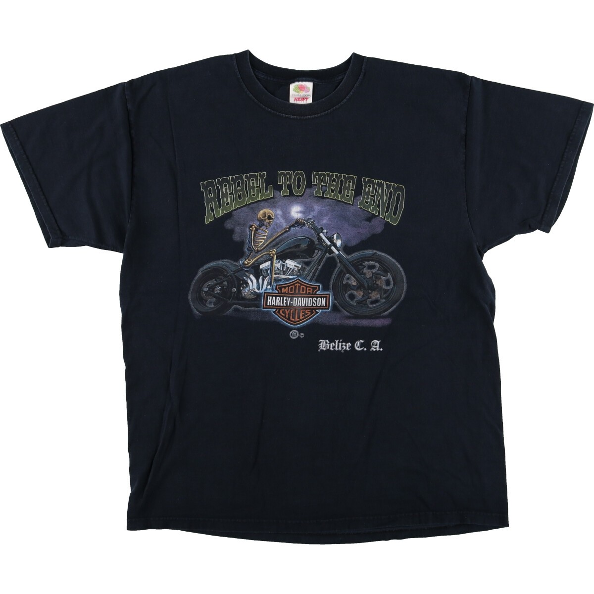 Vintage Fruit of the Loom Harley-Davidson Skull Pattern