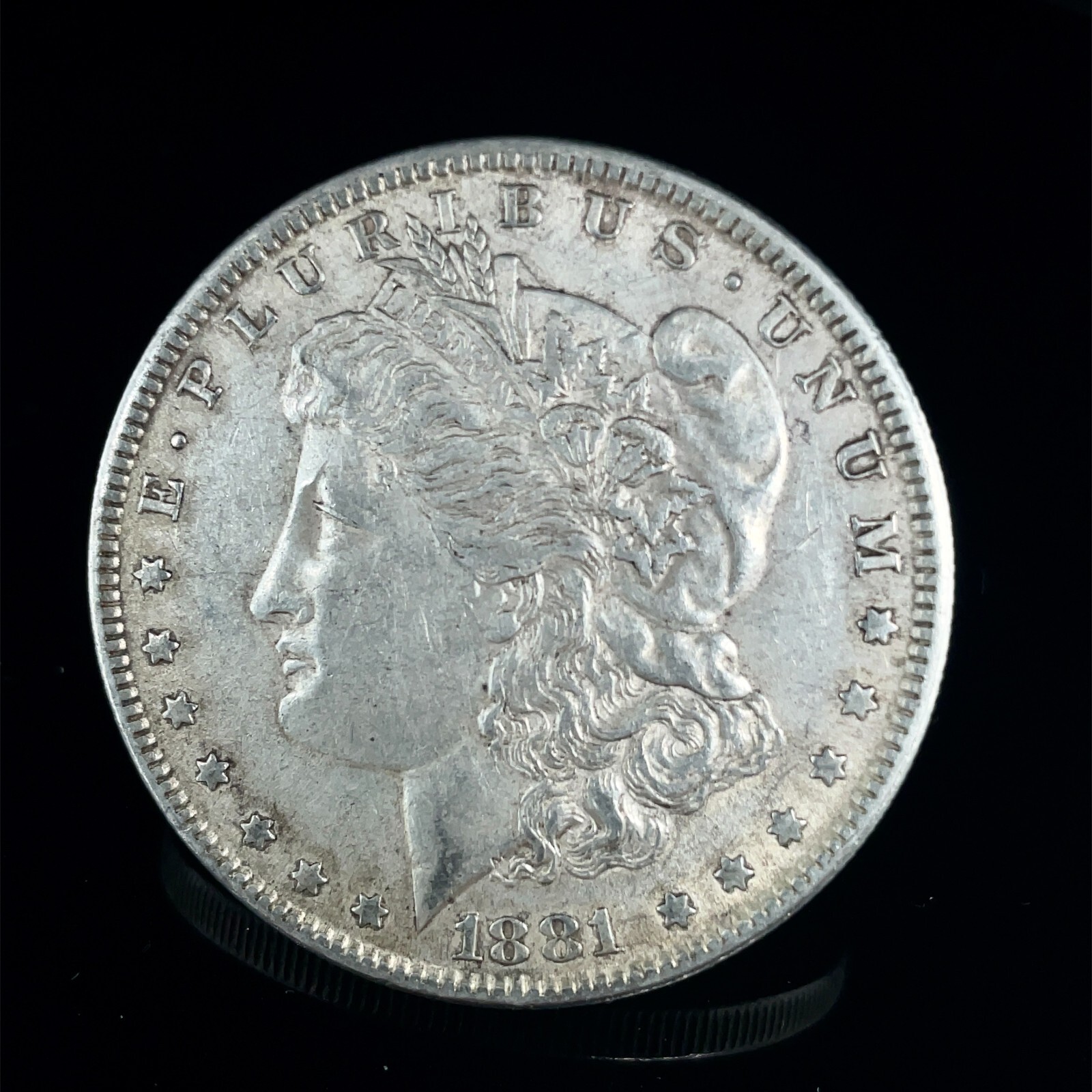 Picture 3 of 8